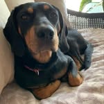 Trish McIntosh Flaherty - @tkrantzmcintoshflaherty - Instagram
