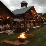 Trisha Ford - @alsace_polo - Instagram