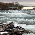 Trisha Ford Photography - @trishafordphotography - Instagram