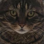 Trisha Gardner - @madrona_zack - Instagram