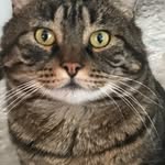Trisha Gardner - @charter_zack - Instagram