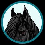 Tricia Garrett - @findyourselfnexttoahorse - Instagram