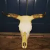 trishaponygibson - @trishaponygibson - TikTok