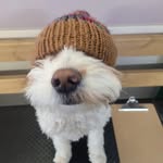 Trish Hartman - @trish_hartman_ - Instagram