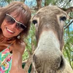 Trisha Hays Kantrowitz - @trishhayskantrowitz - Instagram