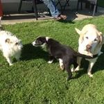 Trisha Richards - @trisha.haysford - Instagram