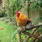 Trisha Henry - @trisha_henry1960 - Instagram