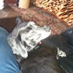 Higginson Ann Trisha - @trishahigginson - Instagram