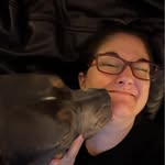 Trisha Horner - @trishahorner7776 - Instagram
