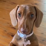 Trish Irwin - @trish.irwin - Instagram