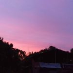 Trisha Jacob - @trishajacob123 - Instagram