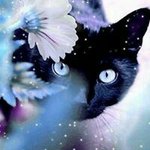 Trisha Jordan - @trisha.jordan.522 - Instagram