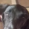 trishakramer7 - @trishakramer7 - TikTok