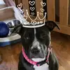 Trisha Lane - @trisha.lane35 - TikTok