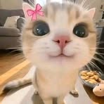 Trisha Lopez - Facebook