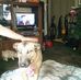 Trish Marshall - Facebook