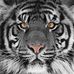 Trisha Marshall - Facebook