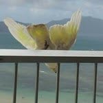 Trish Maynard - @trishmaynard12 - Instagram