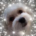 Trish McCarthy - Facebook