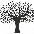 Trish A. McDermott - Facebook
