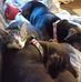 Trisha Millard - Facebook