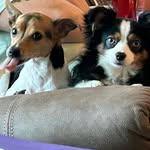 Trisha Mullins - @trisha.mullins.5494 - Instagram
