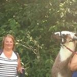 Trisha Mullins - @mull2753 - Instagram