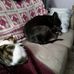 Trisha Myers - Facebook