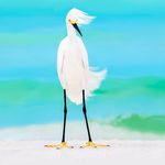 Trish O’Keefe - @trishokeefe_photography - Instagram