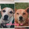 Trisha OKeefe435 - @okfam2010 - TikTok