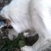 Trisha Page - Facebook