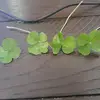so_slay_quinn - @trisha.peters7 - TikTok