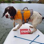 Trisha Poole - @trisha_and_moon - Instagram