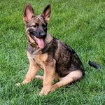 Tricia Pugh - @triciapugh53 - Instagram