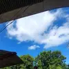 trishapulido - @trishapulido6 - TikTok