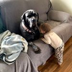 Trisha Randall - @trisha.randall.71 - Instagram