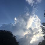 Trisha Rankin Boyles - @trisha.boyles - Instagram