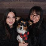 Trisha Russell - @milothehusky_bordercollie - Instagram