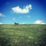 Trish Shepard - @read.with.moxie - Instagram