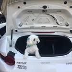 Trisha Simmons Zaretsky - @tsky41 - Instagram