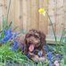 Trisha Smalley - Facebook