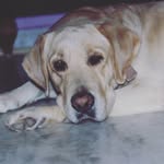 Trisha __smarty - @trisha__smarty - Instagram