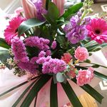 Patricia Snell - @trishsnell56 - Instagram