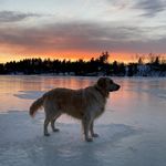 Trish Snell Varney - @varneytrish - Instagram