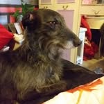 Tricia Stanley - @tricia.stanley.142 - Instagram
