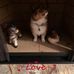 Trisha Strom - Facebook