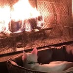 Trisha Vacknitz Toney - @trishavacknitz - Instagram