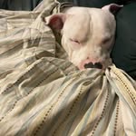 Trish Tuttle - @tuttle.trish - Instagram