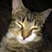 Trish Tuttle - Facebook