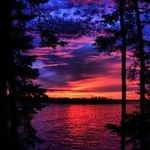 Trisha Stewardson Waters - @tawaters09 - Instagram
